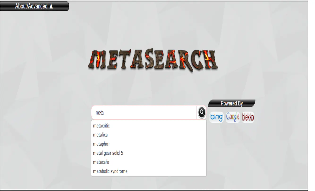 The MetaSearch home page with live autocomplete